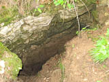 das Halsberger Loch - eine Klufthhle ca. 8 m tief im unteren Muschelkalk, genannt Wellenkalk