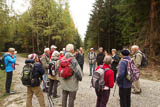 viele Erläuterungen zum Waldumbau durch Thüringen-Forst von Dr. Barbara Schulze vor Ort! (178K)