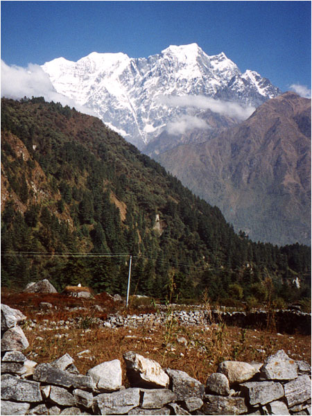 Die Niligiri-Gruppe.