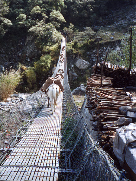 Br?cke ?ber den Lete-Khola.