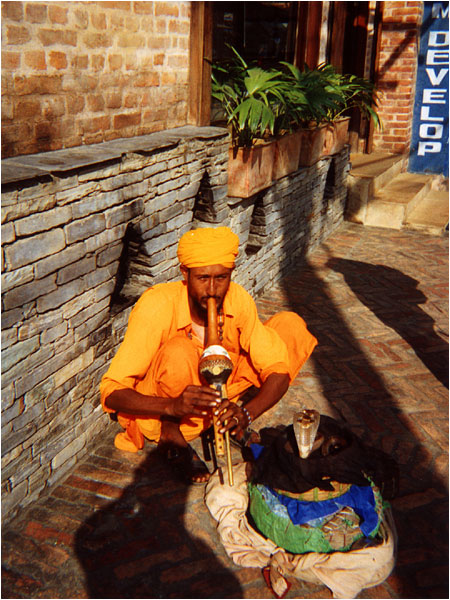Schlangebeschw?rer in Pokara.