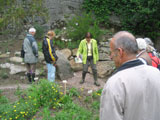 Im Krutergarten des "Bundes fr Naturschutz" in Wiesenfelden