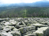 ...das Blockmeer und der geschdigte Wald