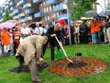 der Gingobaum aus Weimar wird gepflanzt