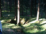 eine Binge des Bergbaues im Freibach-Tal aus der Goethe-Zeit