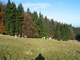 "Rckzug" auf der Wiese am Mordfleck