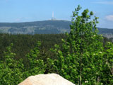 der Brocken vom Torfhaus 