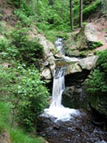 die Rissfälle des Muldenberger Flossgrabensystems die Rissfälle des Muldenberger Flossgrabensystems