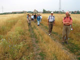 Extreme Hitze verwandelte dieses Naturschutzgebiet in Trockenrasen