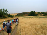 Porphyrkuppen bereichern die Landschaft