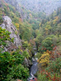 ...der Herbst, das ist ein Malersmann... 