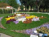 Thueringer Flickenteppich - die Landkreiskarte aus Blumen