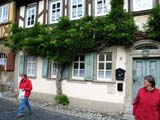 Glyzinie am Haus - der Fensterladen bewegt sich nicht mehr Glyzinie am Haus - der Fensterladen bewegt sich nicht mehr