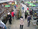 im Gartencenter Dehner - ehemaliges Vertriebslager der Baumschulen Weimar