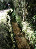 glasklares Wasser in der Lavada zu den "25 Fontes"