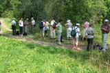 Rast im Auewald zwischen Wandersleben und Wechmar