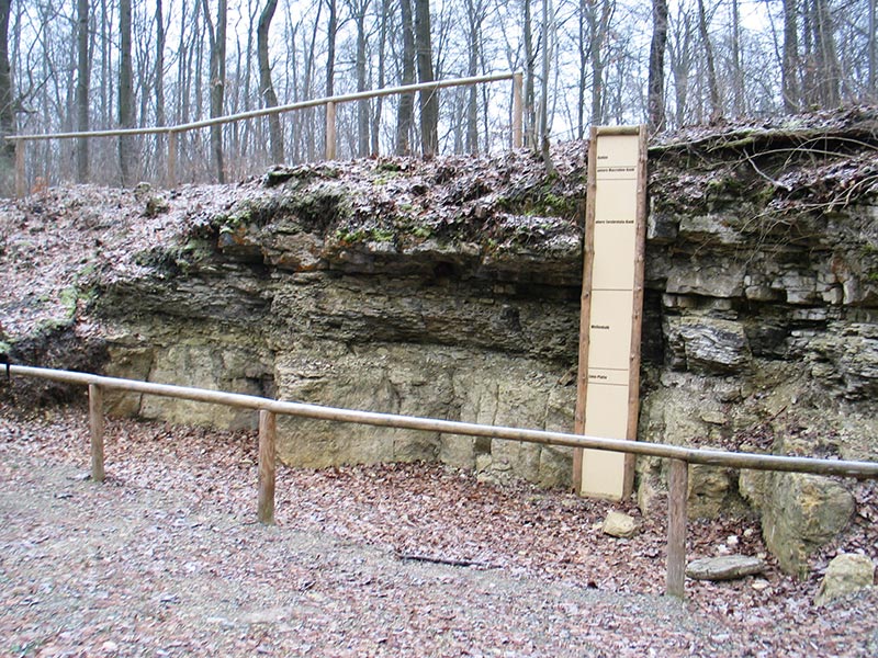 ...einschlie?lich des praktischen Schichtaufbaues in der Natur