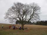 "Landmarke" auf dem Weg nach Stedten