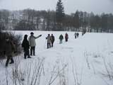 Gnsemarsch in der Winterlandschaft