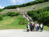  Terrassen-Weinberg in Kaatschen 