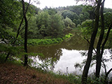 Hautsee mit (heute nicht mehr)  schwimmender Insel