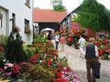 Ein anderer Bauernhof war voller blhender Blumen