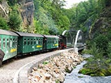 die Bahn auf den neuen Bahngleisen nach dem Hochwasser von 2002