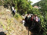 am Gneisfelsen des Burgberges Tharandt - vor 570 Mio Jahren entstanden