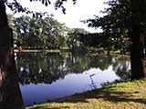 fischbesetzter Ortsteich in Herrengosserstedt