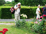 Details im Rosengarten sind festzuhalten