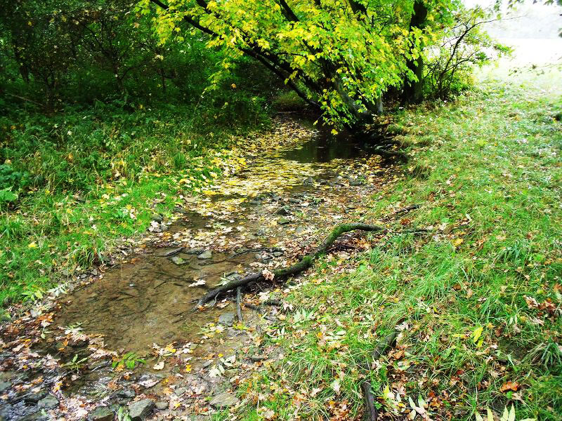 der Petersbach f?hrt sogar Wasser ! 