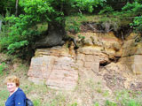 wie sich doch Bume im Gestein festhalten knnen - Eiche im Buntsandstein