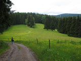 auch liebliche Bergmattenwiesen wurden durchwandert