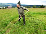 die Bergwiesen haut man mit der Sense - Peter Dornaus beweist es!