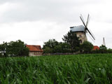 die Hollnderwindmhle neben Altenbeichlingen - eine Landschaftsmarkierung