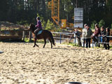 Reitvorfhrung im Kinderhof - vom Land gefrdert