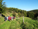 auf der Wanderung von Schmlln nach Lindig