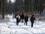 bergauf im Wolfsgrund zum Brgerturm