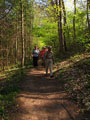 im "ausgezeichneten" Wald Richtung Rudelsburg geht die Wandergruppe noch gesittet