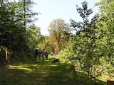 im Forstbotanische Garten, den hier Studenten der nicht mehr existenten Forstfachschule angelegt hatten,gab es viel zu sehen fr unsere Pflanzenfreunde.