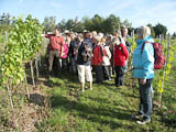 Herr Freyer erlutert seinen neu angelegten Weinberg