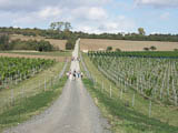 zwischen dem Weinberg des Prinzen zur Lippe in Weimar-Schndorf