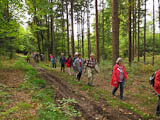 von Cunnersdorf zum Gorisch geht  es 11:00 Uhr los durch herrlichen Herbstwald