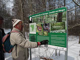 Erluterungen zu Naturwaldparzellen im Ettersburger Forst