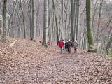 steiler Aufstieg aus dem Geratal bei Arnstadt auf die Hhen der Reinsberge