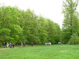 die Wandergruppe im Tautenburger Forst - GRN ist heute Modefarbe