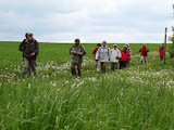 durch die herrliche Landschaft nach dem Krayenberg - Karl immer vornweg