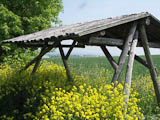 Blick auf Weiensee (Runneburg) - der Wanderweg wird selten benutzt