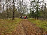 auf der Hohen Strae von Erfurt nach Bhmen - auf dem Knigsstuhl