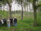 so sehen die Wanderwege von Jrgen Jger aus - quer durch den Wald !!!